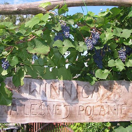 Winnica Na Lesnej Polanie Zabor Екстериор снимка